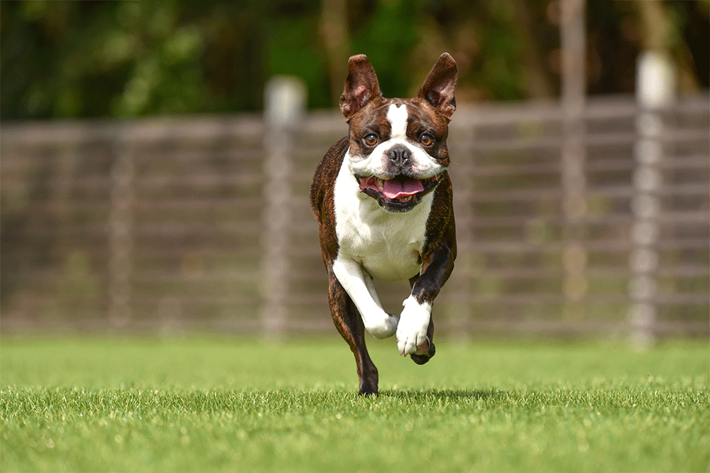 写真トリミング加工